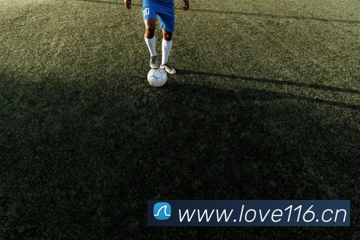 开云在线官网登录入口服务体系